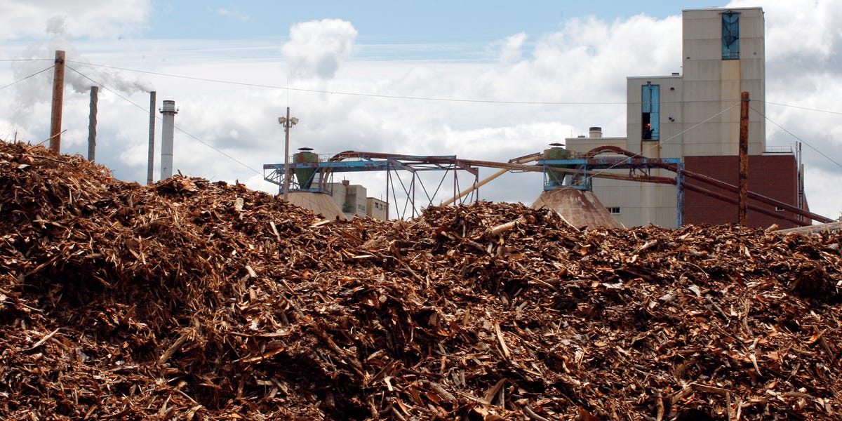 biomass boisseau energies