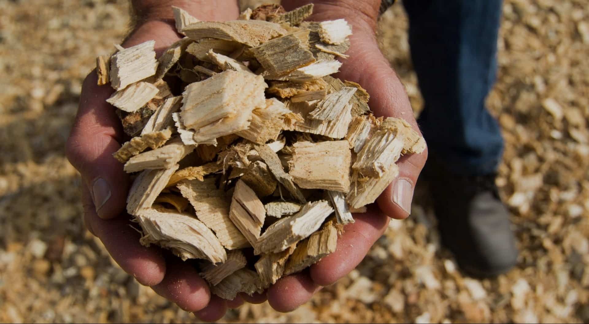 plaquettes de bois